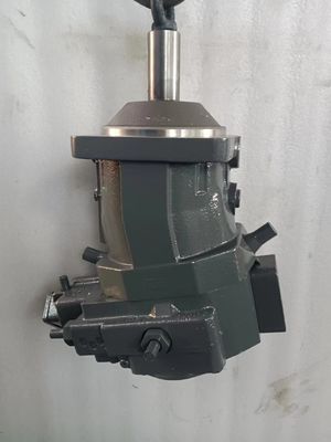 Rexroth Hydraulic Piston Pump A7vo Series A7vo28 A7vo55 A7vo80 A7vo107 A7VO107LRDH1/63R-NZB01 Manufacturer