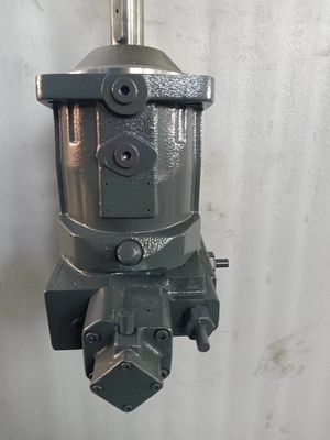 Rexroth Hydraulic Piston Pump A7vo Series A7vo28 A7vo55 A7vo80 A7vo107 A7VO107LRDH1/63R-NZB01 Manufacturer