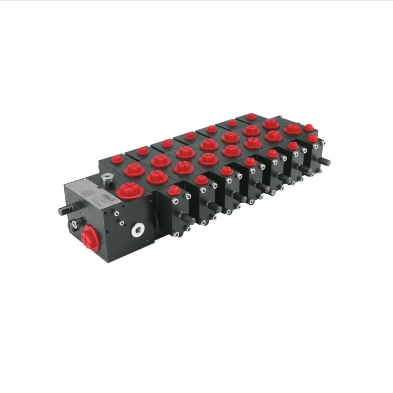 Standard Multiple Directional Control Valve P40 P80 P120 ZLSL ZLSV HAWE PSV62/220-5-6-E1