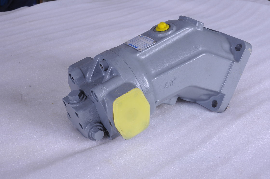 Hydraulic Rexroth Axial Piston Pump A2F6 A2F12 A2F23 A2F28 A2F45 A2F5 A2F63 A2F80 A2F107